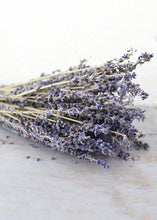 Load image into Gallery viewer, Organic Hand Sanitizer - Lavender Essential Oil